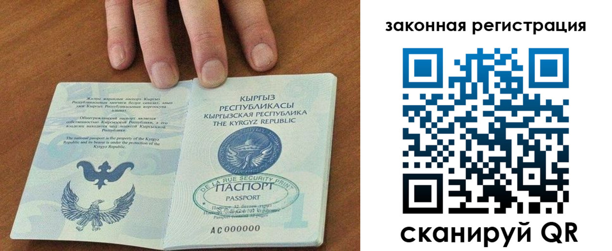 прописка гарантия в Ясногорске